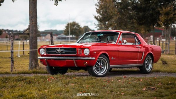 Bild eines Roten Ford Mustang Oldtimers 1965